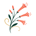 Russelia